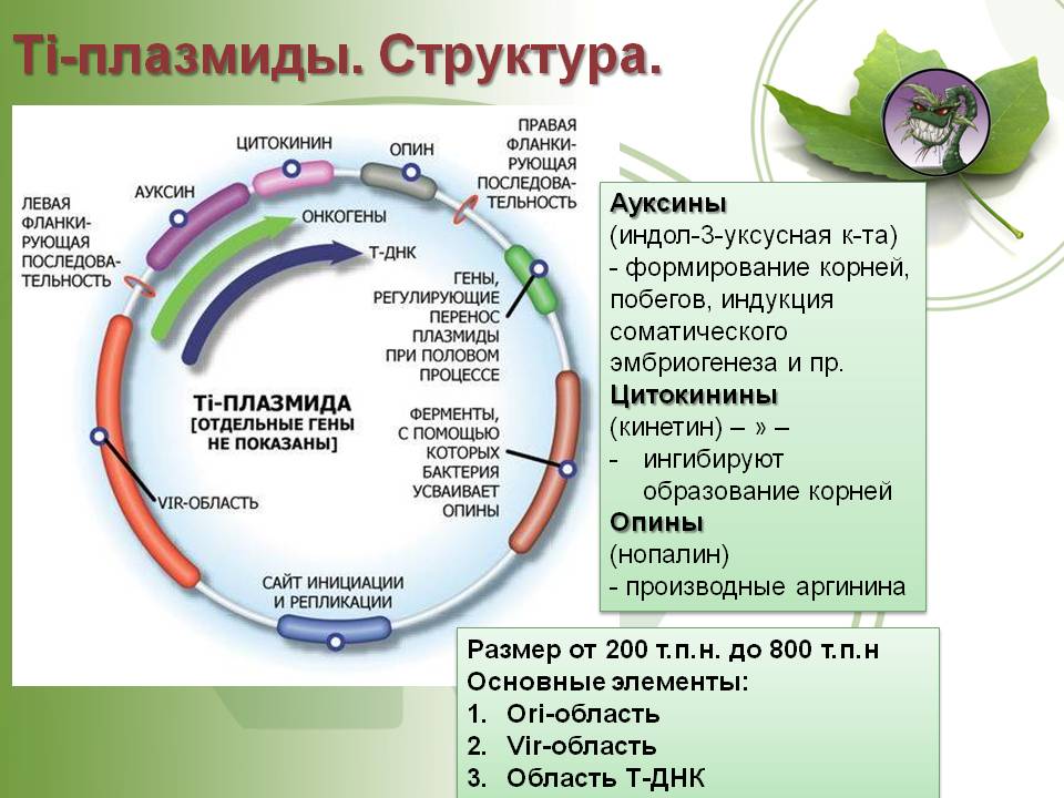 Кракен работает